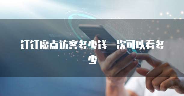 钉钉魔点访客多少钱一次可以看多少