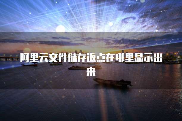 阿里云文件储存返点在哪里显示出来