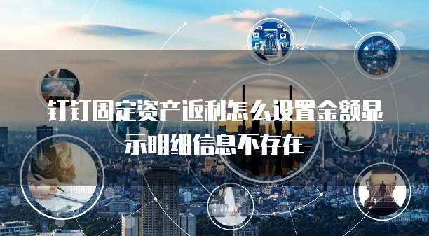 钉钉固定资产返利怎么设置金额显示明细信息不存在