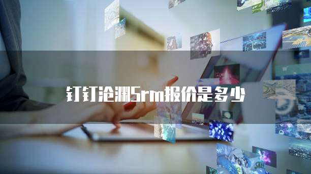 钉钉沧渊srm报价是多少