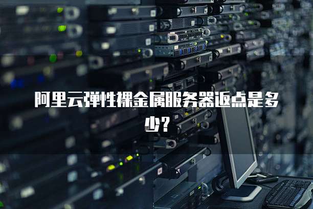 阿里云弹性裸金属服务器返点是多少?