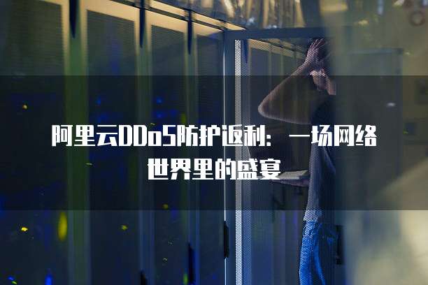 阿里云DDoS防护返利:一场网络世界里的盛宴