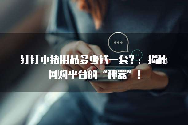 钉钉小猪用品多少钱一套？：揭秘网购平台的&ldquo;神器&rdquo;！