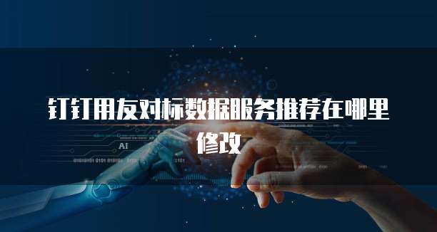 钉钉用友对标数据服务推荐在哪里修改