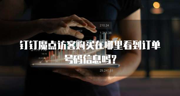 钉钉魔点访客购买在哪里看到订单号码信息吗？