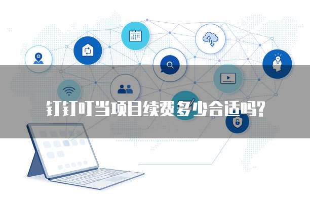 钉钉叮当项目续费多少合适吗?