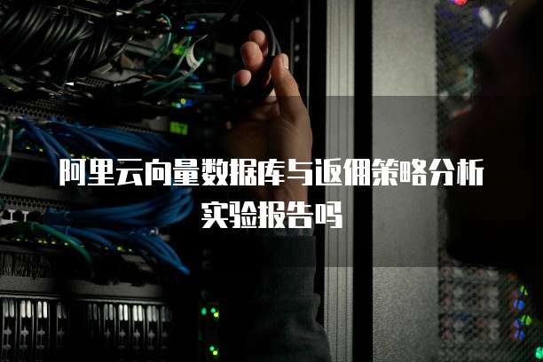 阿里云向量数据库与返佣策略分析实验报告吗