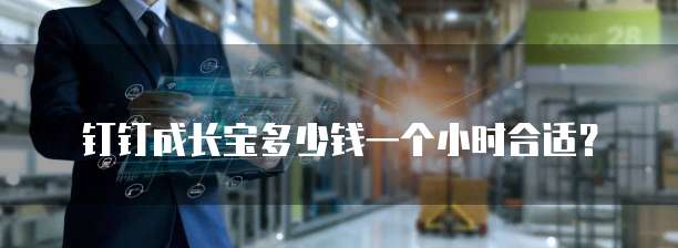 钉钉成长宝多少钱一个小时合适?
