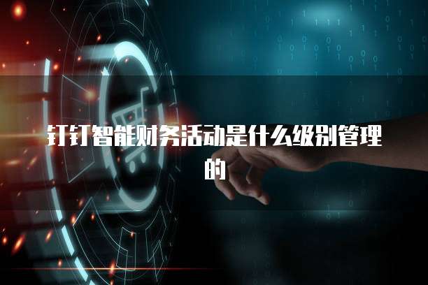 钉钉智能财务活动是什么级别管理的