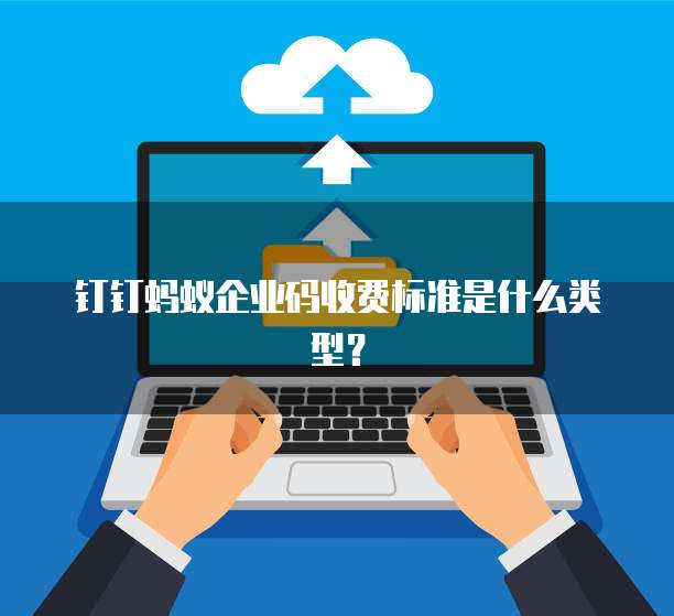 钉钉蚂蚁企业码收费标准是什么类型?