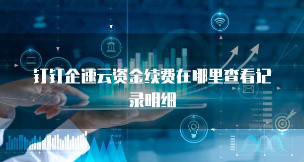 钉钉企速云资金续费在哪里查看记录明细