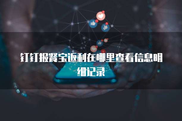 钉钉报餐宝返利在哪里查看信息明细记录