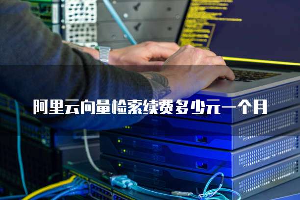 阿里云向量检索续费多少元一个月