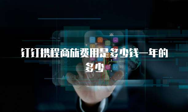 钉钉携程商旅费用是多少钱一年的多少