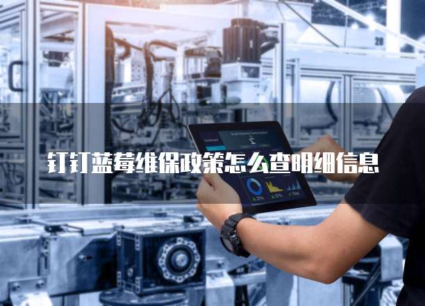 钉钉蓝莓维保政策怎么查明细信息