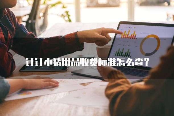 钉钉小猪用品收费标准怎么查?