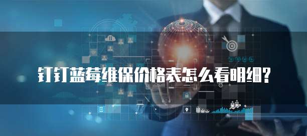 钉钉蓝莓维保价格表怎么看明细?