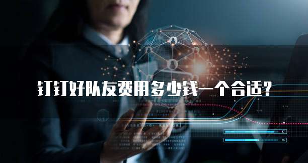 钉钉好队友费用多少钱一个合适？