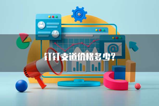 钉钉支道价格多少?