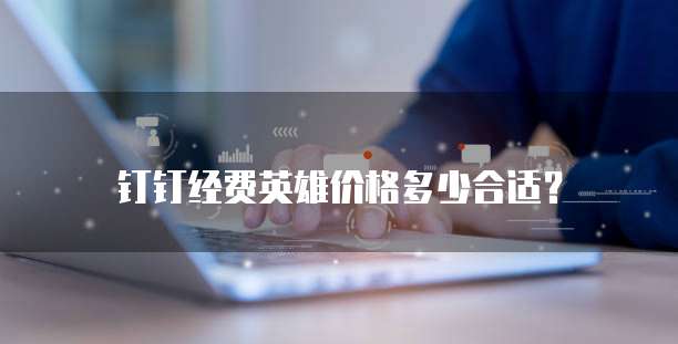 钉钉经费英雄价格多少合适?