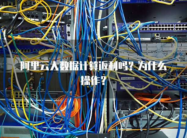 阿里云大数据计算返利吗?为什么操作?