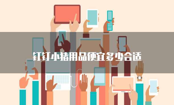 钉钉小猪用品便宜多少合适