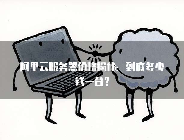 阿里云服务器价格揭秘:到底多少钱一台?