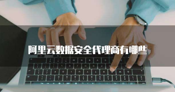 阿里云数据安全代理商有哪些