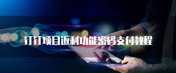 钉钉项目返利功能密码支付教程