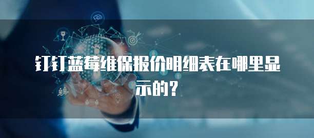 钉钉蓝莓维保报价明细表在哪里显示的？