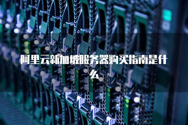 阿里云新加坡服务器购买指南是什么