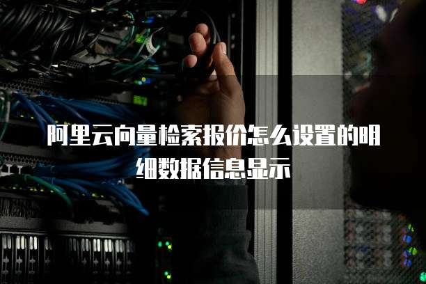 阿里云向量检索报价怎么设置的明细数据信息显示