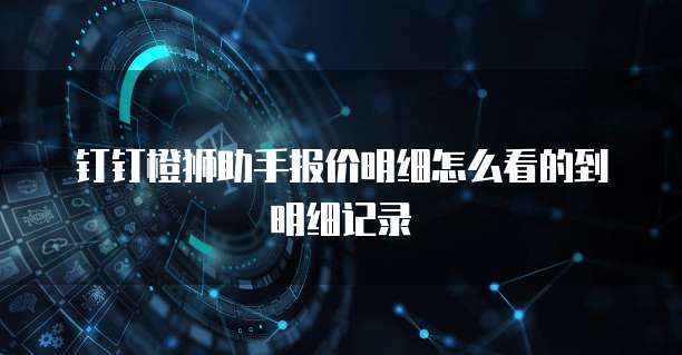钉钉橙狮助手报价明细怎么看的到明细记录