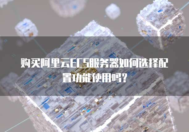 购买阿里云ECS服务器如何选择配置功能使用吗?