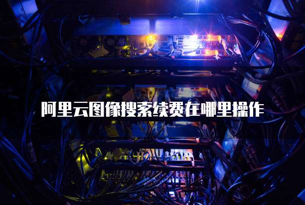 阿里云图像搜索续费在哪里操作