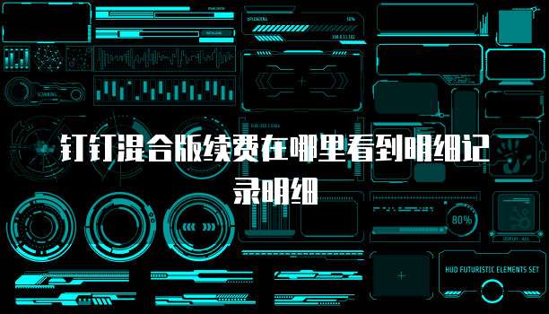 钉钉混合版续费在哪里看到明细记录明细