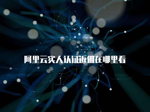 阿里云实人认证返佣在哪里看
