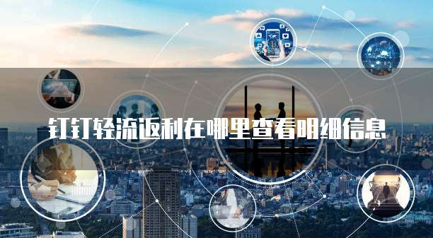 钉钉轻流返利在哪里查看明细信息
