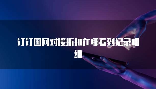 钉钉国网对接折扣在哪看到记录明细