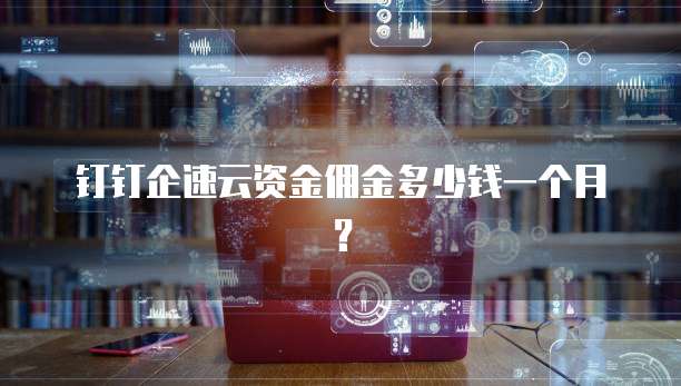 钉钉企速云资金佣金多少钱一个月?