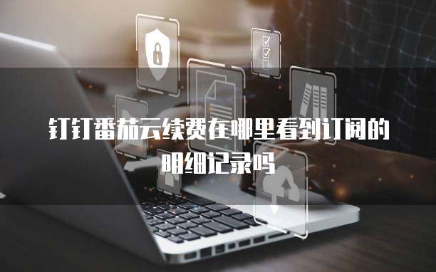 钉钉番茄云续费在哪里看到订阅的明细记录吗