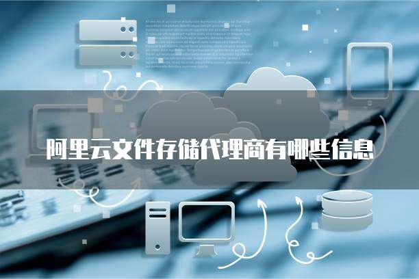 阿里云文件存储代理商有哪些信息