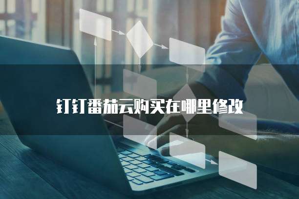 钉钉番茄云购买在哪里修改