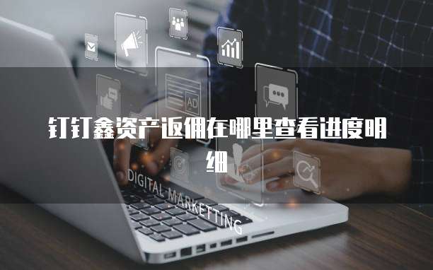钉钉鑫资产返佣在哪里查看进度明细