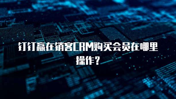 钉钉赢在销客CRM购买会员在哪里操作？