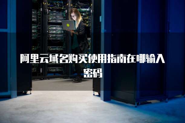阿里云域名购买使用指南在哪输入密码