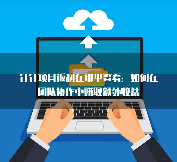 钉钉项目返利在哪里查看:如何在团队协作中赚取额外收益