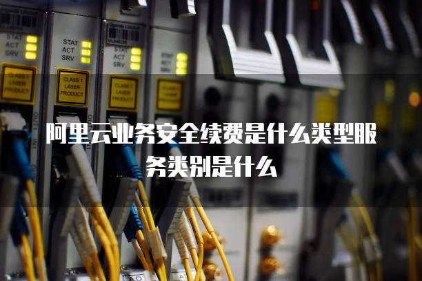 阿里云业务安全续费是什么类型服务类别是什么