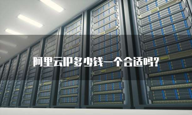 阿里云IP多少钱一个合适吗?