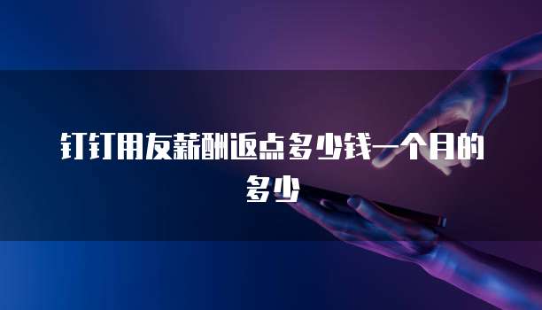 钉钉用友薪酬返点多少钱一个月的多少